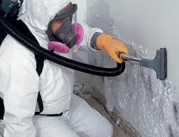 Best Post-Construction Mold Inspection  in Holly, MI